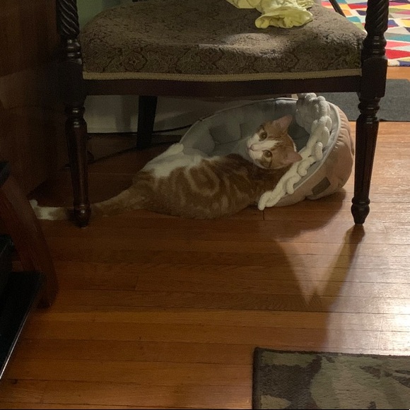 Meet Your Posher, Danny - Picture 3 of 9